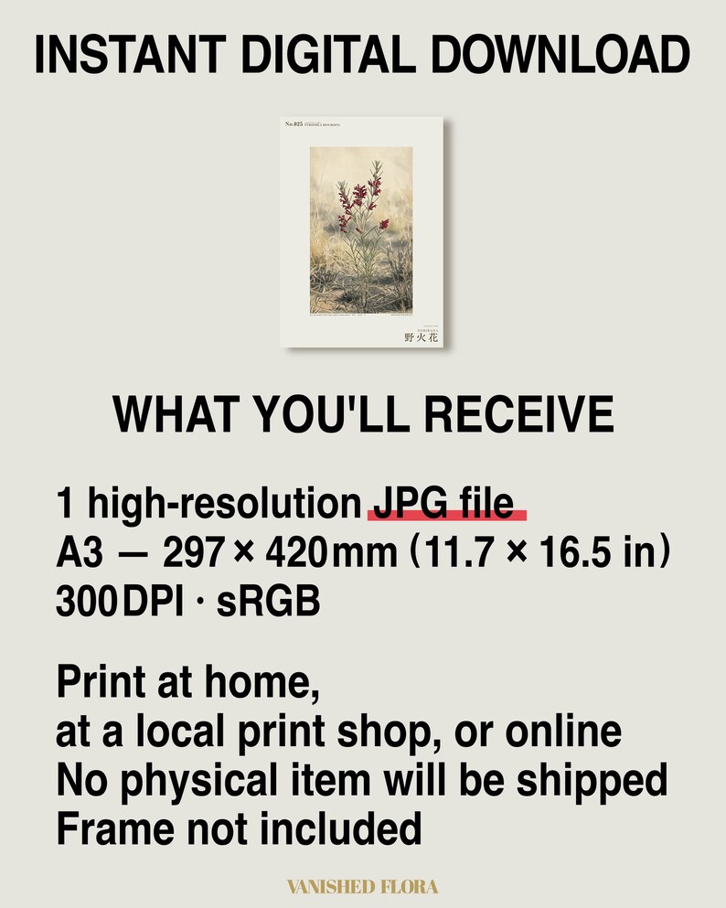 Fireborn Bloom Print – Pyrophila Resurgens, Extinct Cape Flower, Dark Academia Wall Art (Digital Download) image 8