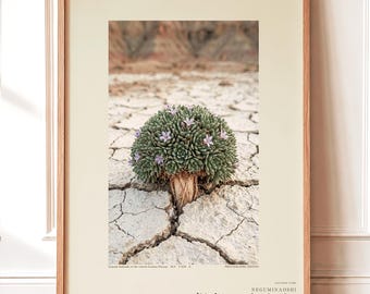 Botanische fotoprint – Uitgestorven gipsbloem, sfeervolle natuurkunst (digitale download)
