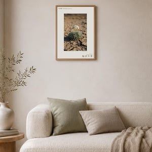 Wandering Tumbleweed Print – Volvithamnus erraticus Desert Photo (Digital Download) image 4