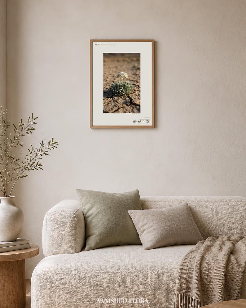 Wandering Tumbleweed Print – Volvithamnus erraticus Desert Photo (Digital Download) image 4