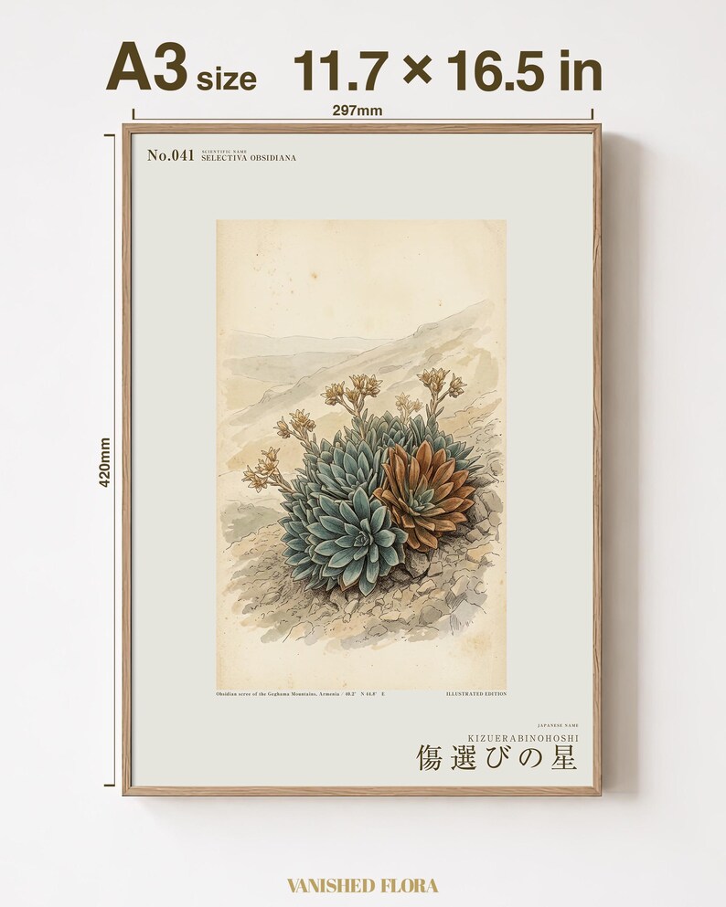 オブシディアン・スター植物標本プレート – 想像上のアルメニアの花の植物学的研究（デジタルダウンロード） 画像 5
