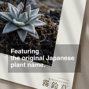 Mist Bell Photograph – Extinct Azores Bog Flower, Gothic Dark Academia Wall Art (Digital Download) image 6
