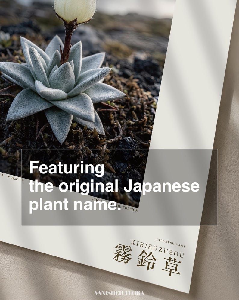 Mist Bell Photograph – Extinct Azores Bog Flower, Gothic Dark Academia Wall Art (Digital Download) image 6