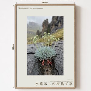 Channel-root Caster Botanical Print – Imaginary Drakensberg Herb, Moody Wall Art (Digital Download) image 5