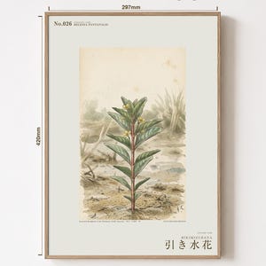 Stampa botanica del fiore di Ebbwater – Fioritura immaginaria del Pantanal, Recessa pantanalis (Download digitale) immagine 5