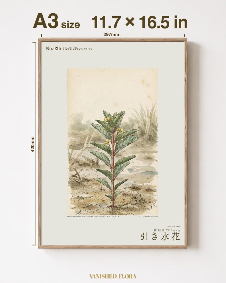 Stampa botanica del fiore di Ebbwater – Fioritura immaginaria del Pantanal, Recessa pantanalis (Download digitale) immagine 5