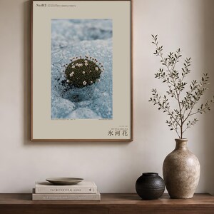 Glacier Bloom Specimen Photograph – Vanished Greenland Flower (Digital Download) image 3