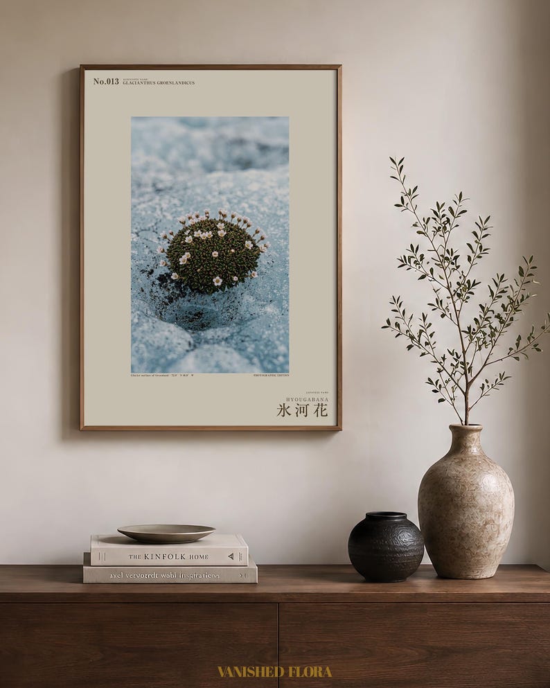 Glacier Bloom Specimen Photograph – Vanished Greenland Flower (Digital Download) image 3