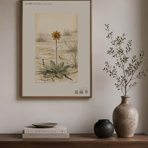 Stampa botanica speculativa di una pianta erbacea – Radix dispersa tschadensis, flora del lago Ciad (download digitale) immagine 3