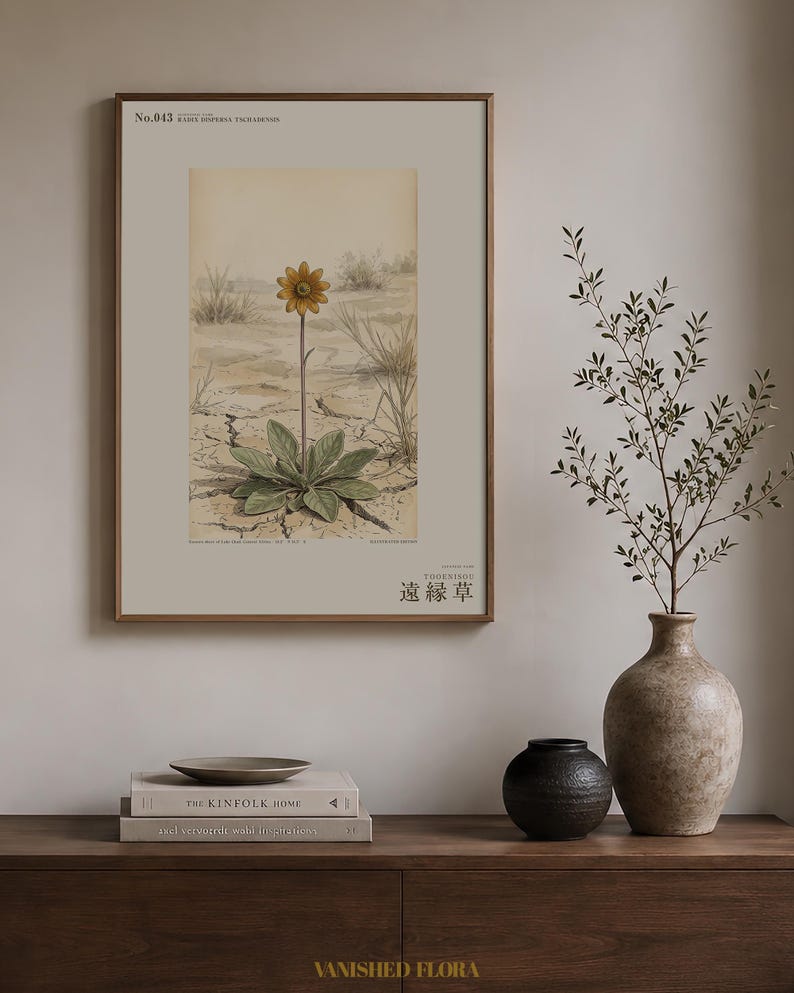 Stampa botanica speculativa di una pianta erbacea – Radix dispersa tschadensis, flora del lago Ciad (download digitale) immagine 3