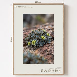 Fotokonst av växten Serpentine Reader – Spekulativ kopparkantad buske (digital nedladdning) bild 5
