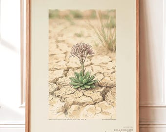 Drypool Star Herbarium Plate – Stellatia donianensis Botanical Art (Digital Download)