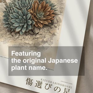 オブシディアン・スター植物標本プレート – 想像上のアルメニアの花の植物学的研究（デジタルダウンロード） 画像 6