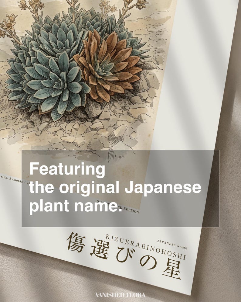 オブシディアン・スター植物標本プレート – 想像上のアルメニアの花の植物学的研究（デジタルダウンロード） 画像 6
