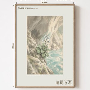 Tideglow Flower Botanical Print – Japanese Sea-cave Bloom, Dark Academia Wall Art (Digital Download) image 5