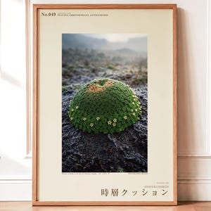Time-layer Cushion Photograph – Extinct Andes Plant, Gothic Wall Art (Digital Download)