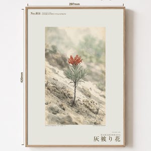 Ashveil Flower Print – Cineranthus vulcanicus, Moody Botanical Specimen (Digital Download) image 5