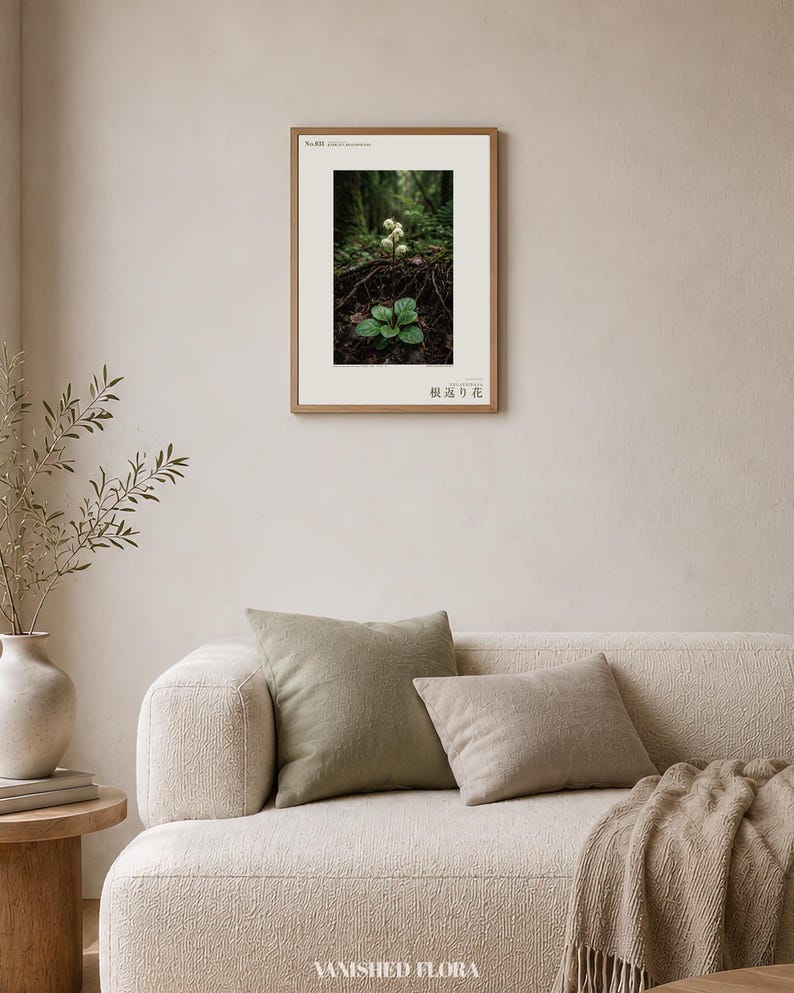 Fictional Ivory Bloom Photograph – Radicava Bialowiensis Forest Light Print (Digital Download) image 4