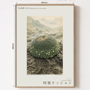 Time-layer Cushion Print – Vanished Andean Plant, Pulvina chronostrata antisanensis (Digital Download) image 5