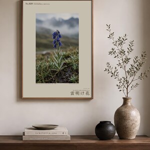 Afterstorm Bloom Print – Extinct Tibetan Flower, Naturalist Wall Decor (Digital Download) image 3