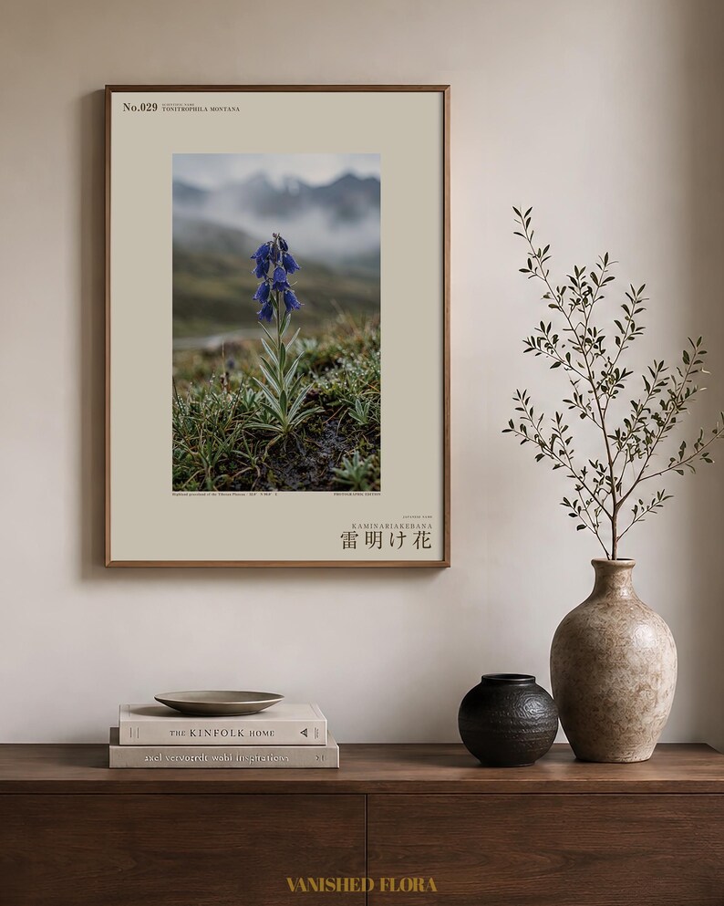 Afterstorm Bloom Print – Extinct Tibetan Flower, Naturalist Wall Decor (Digital Download) image 3