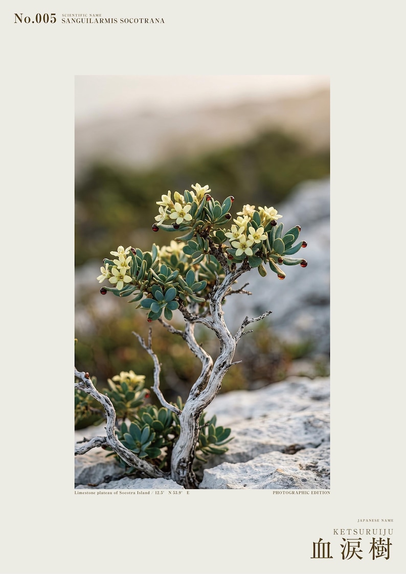 Socotran Bloodtear Print – Imaginary Succulent Tree, Gothic Interior Art (Digital Download) image 2