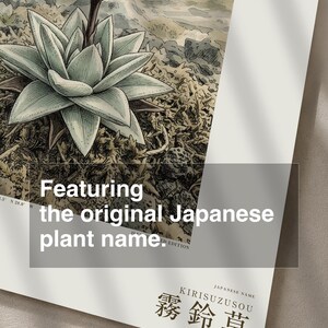 Mist Bell Herbarium Plate – Nebulocampa campanulata, Dark Academia Wall Art (Digital Download) image 6