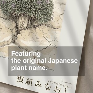 Vanished Flora Print – Gypsophyma Reficiens Botanical Illustration (Digital Download) bild 6