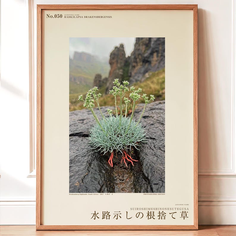 Channel-root Caster Botanical Print – Imaginary Drakensberg Herb, Moody Wall Art (Digital Download) image 1