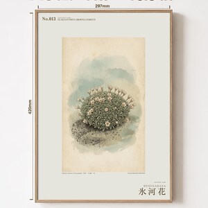 Glacier Bloom Botanical Print – Fictional Greenland Flower Art (Digital Download) image 5