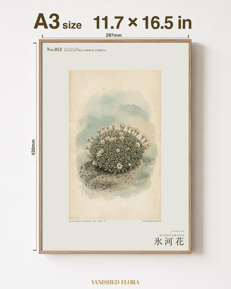 Glacier Bloom Botanical Print – Fictional Greenland Flower Art (Digital Download) image 5