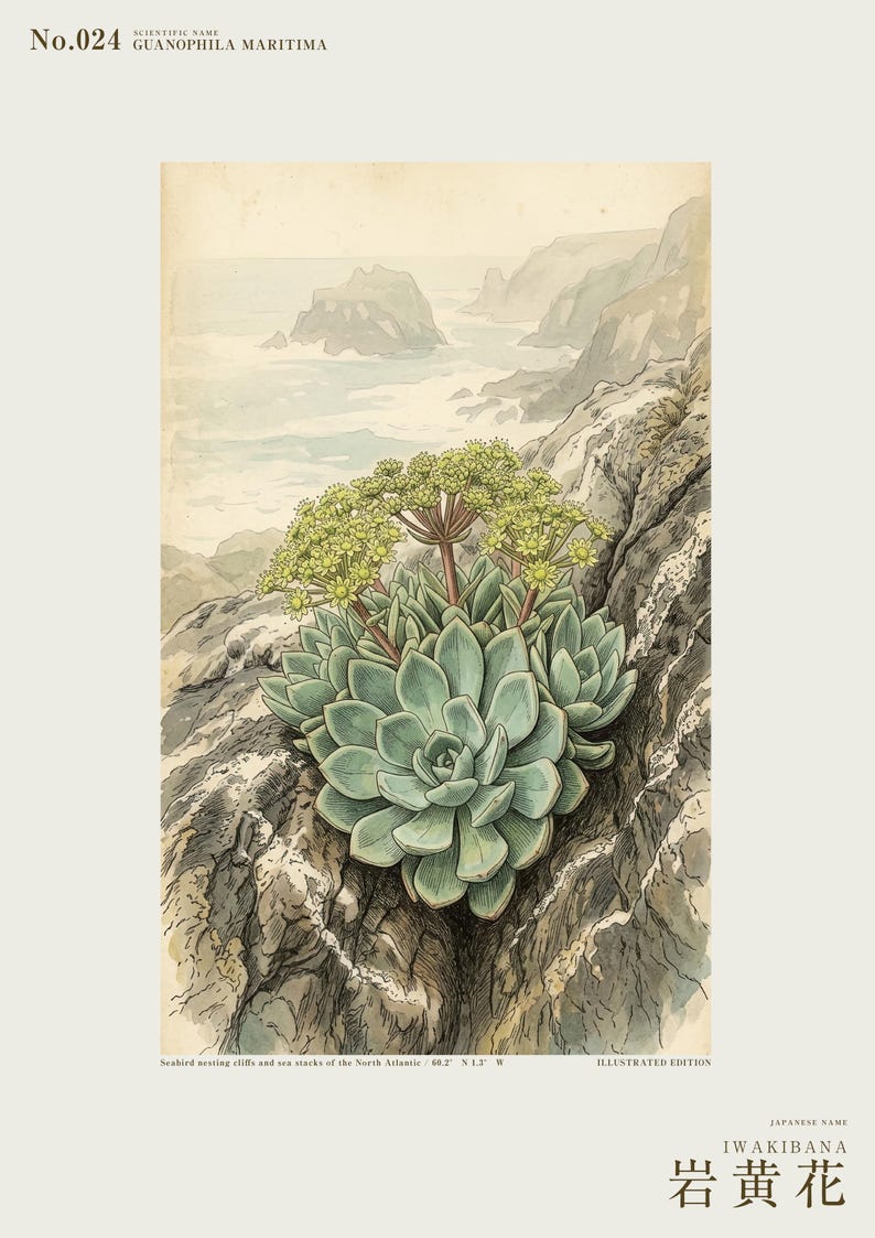 Seabird Cliffbloom Specimen Print – Guanophila maritima, Vanished Flora Art (Digital Download) image 2
