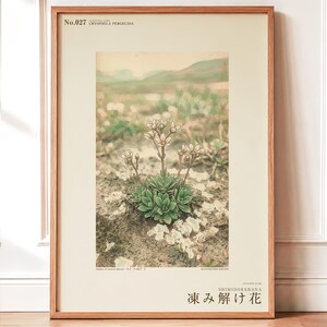 Fictional Thaw Bloom Herbarium Plate – Cryophila Pergelida, Cottagecore Wall Art (Digital Download) image 1