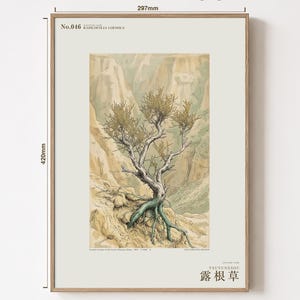 Bared-root Herb Print – Radicofolia Loessica Botanical Art (Digital Download) image 5