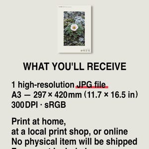 Fictional Fog Hourglass Plant Print – Nebulanthus Atacamenis, Dark Academia Decor (Digital Download) image 8