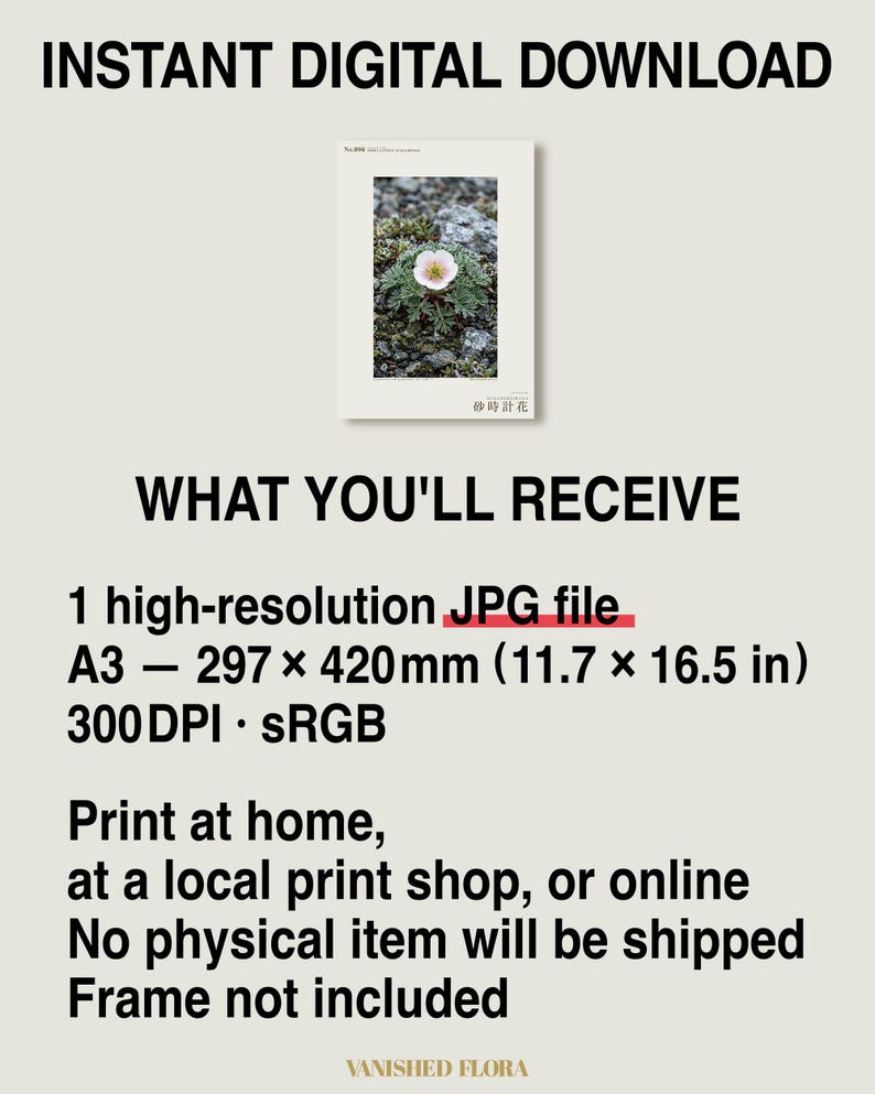 Fictional Fog Hourglass Plant Print – Nebulanthus Atacamenis, Dark Academia Decor (Digital Download) image 8