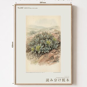 Fiktivt växttryck av Serpentine Reader – Serpentivora Insularis Herbarium Art (digital nedladdning) bild 5