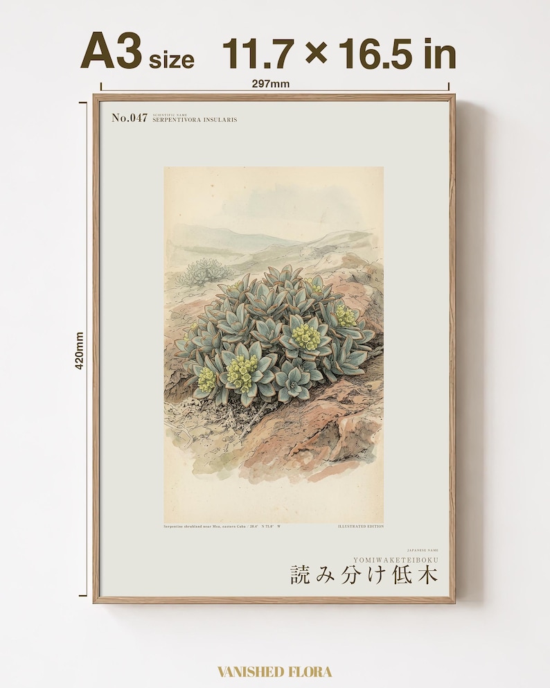 Fiktivt växttryck av Serpentine Reader – Serpentivora Insularis Herbarium Art (digital nedladdning) bild 5