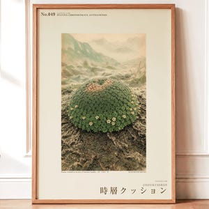 Time-layer Cushion Print – Vanished Andean Plant, Pulvina chronostrata antisanensis (Digital Download)