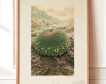 Time-layer Cushion Print – Vanished Andean Plant, Pulvina chronostrata antisanensis (Digital Download)