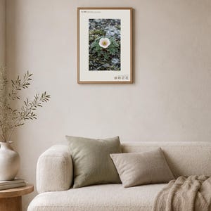 Fictional Fog Hourglass Plant Print – Nebulanthus Atacamenis, Dark Academia Decor (Digital Download) image 4