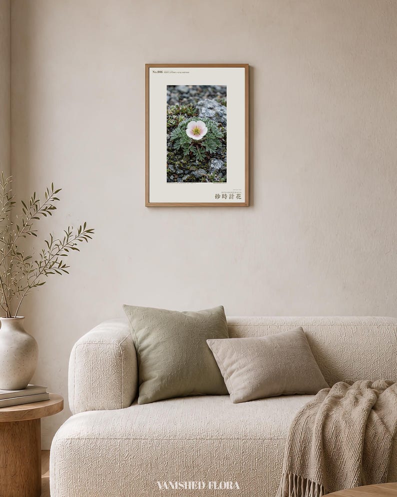 Fictional Fog Hourglass Plant Print – Nebulanthus Atacamenis, Dark Academia Decor (Digital Download) image 4