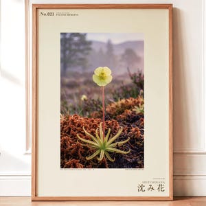 Sinking Bloom Botanical Photo Print – Fictional Paludis Mergens, Dark Academia Wall Art (Digital Download)