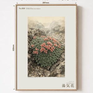 Talerz zielnika Steambloom – Wymarły kwiat Islandii, sztuka botaniczna (pobranie cyfrowe) zdjęcie 5