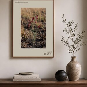 Fireborn Bloom Print – Imaginary Pyrophila Resurgens After Wildfire (Digital Download) image 3