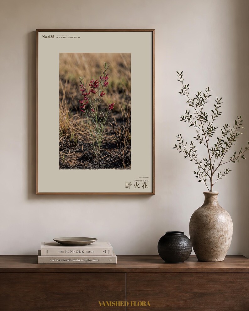 Fireborn Bloom Print – Imaginary Pyrophila Resurgens After Wildfire (Digital Download) image 3