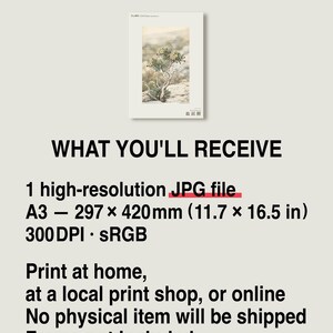 Socotran Bloodtear Print – Extinct Succulent Botanical Art (Digital Download) image 8