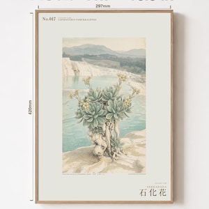 Petrifying Bloom Botanical Art – Fictional Lapidanthus Pamukkalensis Print (Digital Download) image 5