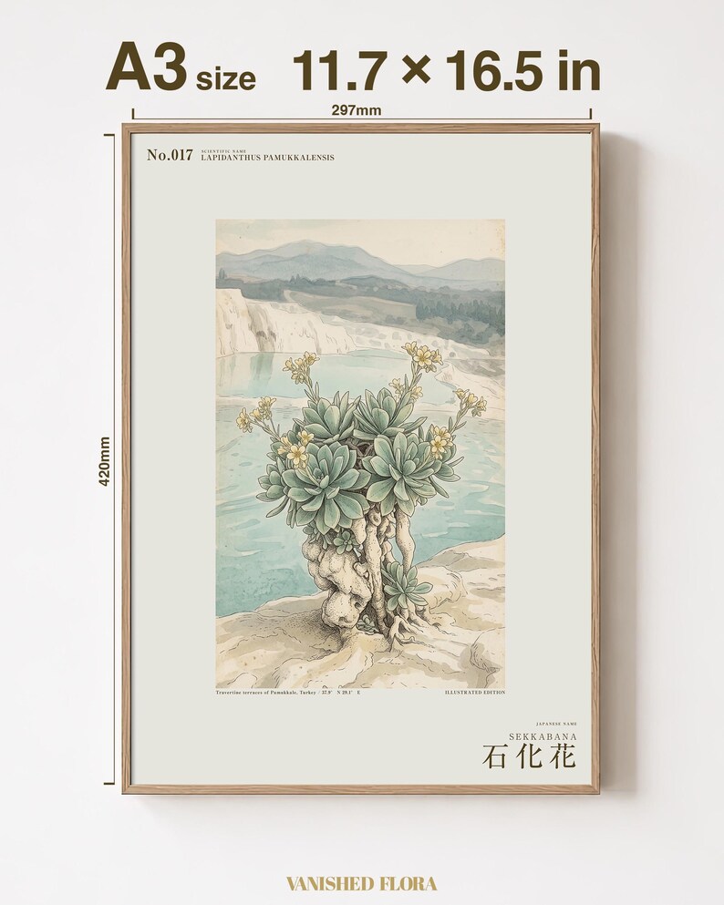 Petrifying Bloom Botanical Art – Fictional Lapidanthus Pamukkalensis Print (Digital Download) image 5