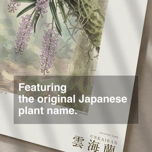 Cloudforest Orchid Print – Extinct Andean Epiphyte, Gothic Botanical Art (Digital Download) image 6